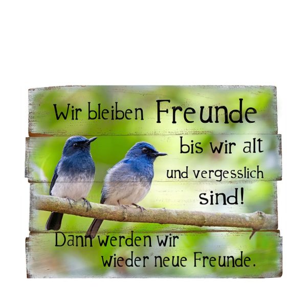 Bild  Wir bleiben Freunde bis wir...  Mode