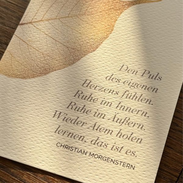 Seelenbalsam · Die Oilando-Postkartenkollektion · 1st Edition Verkauf – Bild 4