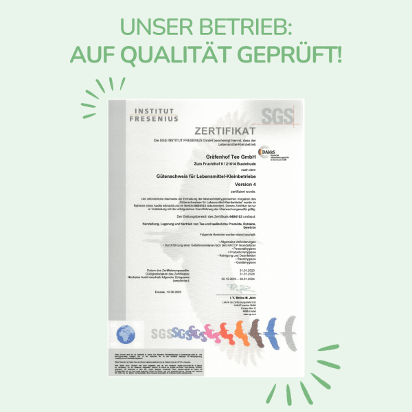 Clear Mint Tee · 15 Pyramidenbeutel Jetzt online – Bild 5