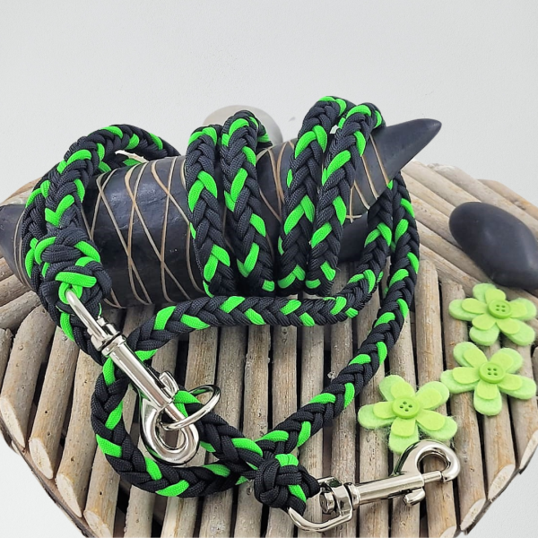 Hundeleine SCHAMROCK Spezial – Variante: normal Online-Schn?ppchen