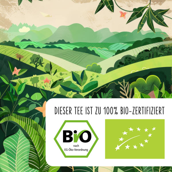 BIO Schnief Erkältungstee · 100 g lose Im Angebot – Bild 5