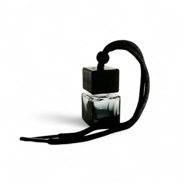 Autodiffuser-Flasche Glenn Jetzt online