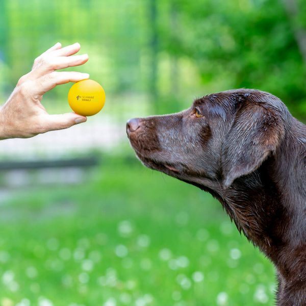 Schwarz bringt Glück Hundeball Verkauf – Bild 2