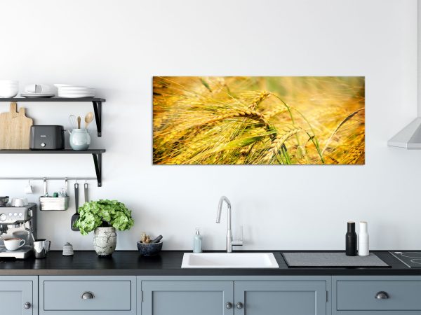 Goldene Getreide Ären, Glasbild Panorama Jetzt online – Bild 3