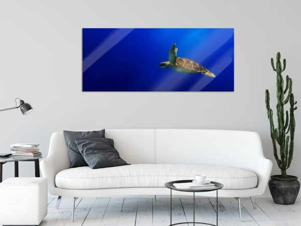 Alte Schildkröte im Meer, Glasbild Panorama Jetzt online – Bild 2