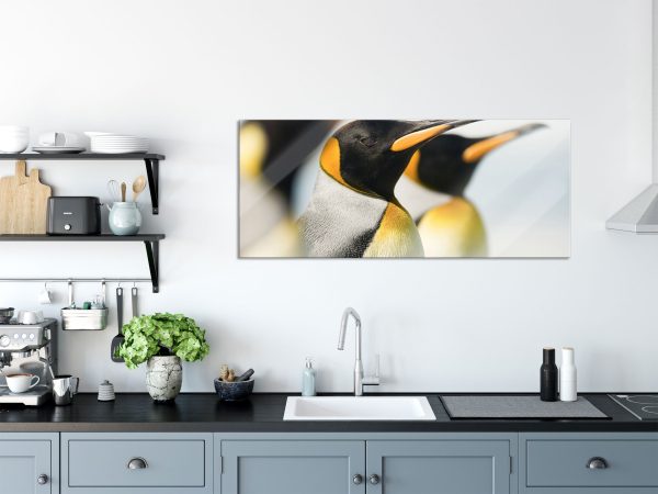 Pinguine, Glasbild Panorama Online-Schn?ppchen – Bild 3