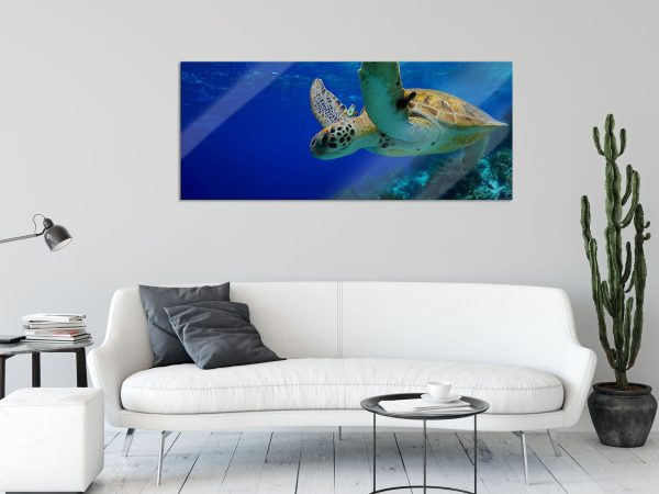 Schildkröte im Riff, Glasbild Panorama Im Angebot – Bild 2