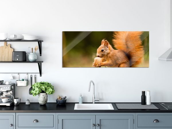 Eichhörnchen mit Nuss, Glasbild Panorama Online-Verkauf – Bild 3