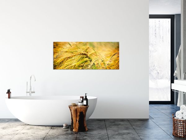 Goldene Getreide Ären, Glasbild Panorama Jetzt online – Bild 4
