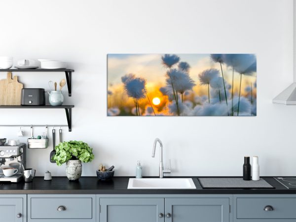 Baumwollblüten im Sonnenuntergang, Glasbild Panorama Schn?ppchen – Bild 3