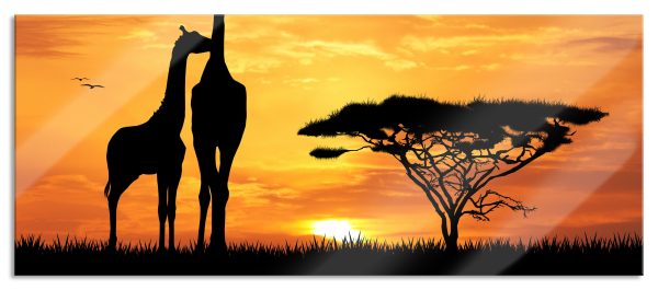 Giraffen im Sonnenuntergang, Glasbild Panorama Jetzt online
