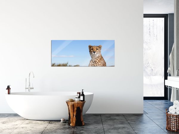 Gepard in Savanne, Glasbild Panorama Verkauf – Bild 4