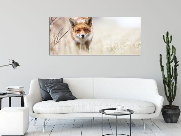 Schleichender fuchs, Glasbild Panorama Jetzt online – Bild 2