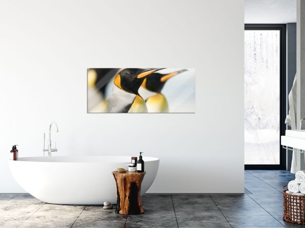 Pinguine, Glasbild Panorama Online-Schn?ppchen – Bild 4
