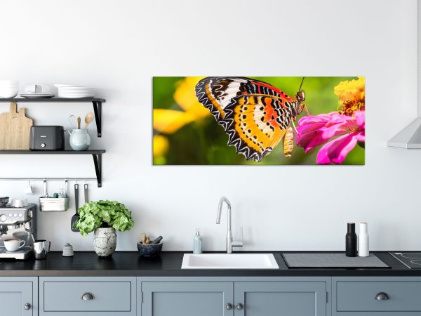 Schmetterling auf Blüte, Glasbild Panorama Verkauf – Bild 3