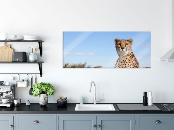 Gepard in Savanne, Glasbild Panorama Verkauf – Bild 3