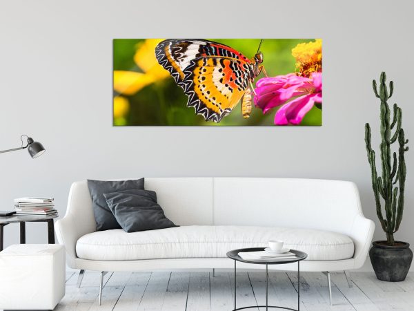 Schmetterling auf Blüte, Glasbild Panorama Verkauf – Bild 2