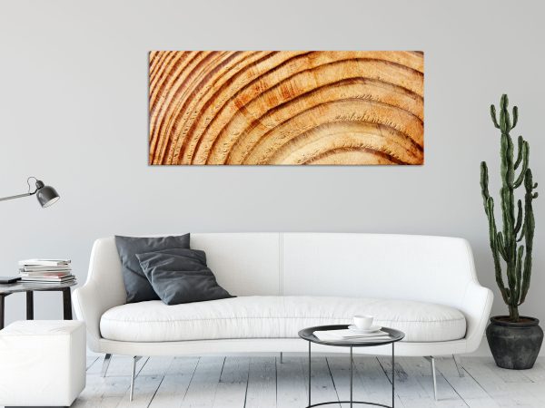 Baumstamm Holzringe, Glasbild Panorama Online-Schn?ppchen – Bild 2