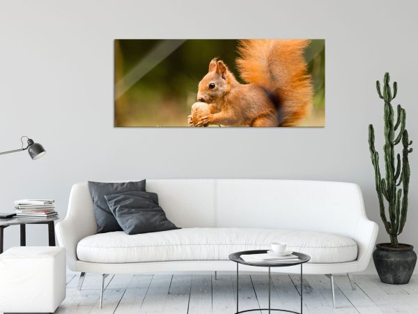 Eichhörnchen mit Nuss, Glasbild Panorama Online-Verkauf – Bild 2
