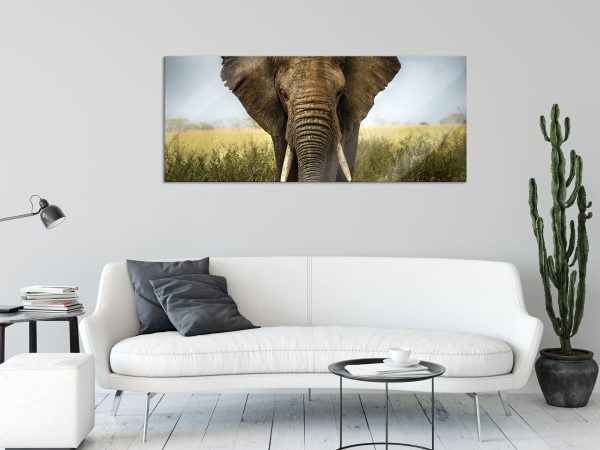 Imposanter Elefant, Glasbild Panorama Zu verkaufen – Bild 2