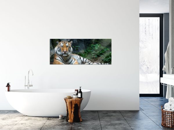 Liegender Tiger, Glasbild Panorama Im Angebot – Bild 4