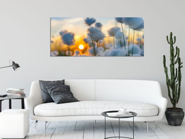 Baumwollblüten im Sonnenuntergang, Glasbild Panorama Schn?ppchen – Bild 2