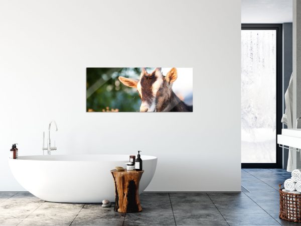 Niedliche Ziege, Glasbild Panorama Angebot – Bild 4