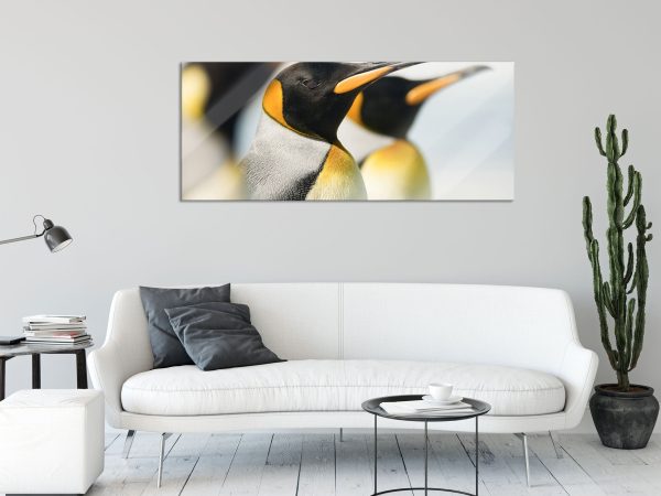 Pinguine, Glasbild Panorama Online-Schn?ppchen – Bild 2