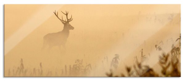 Hirsch im Nebel, Glasbild Panorama Zu verkaufen