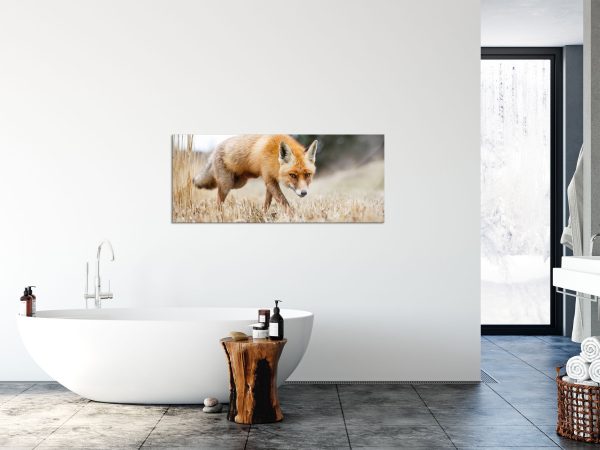 Schöner Fuchs, Glasbild Panorama Rabatt – Bild 4