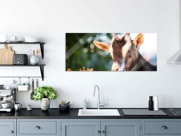 Niedliche Ziege, Glasbild Panorama Angebot – Bild 3