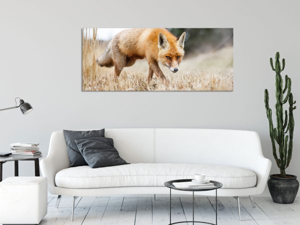 Schöner Fuchs, Glasbild Panorama Rabatt – Bild 2