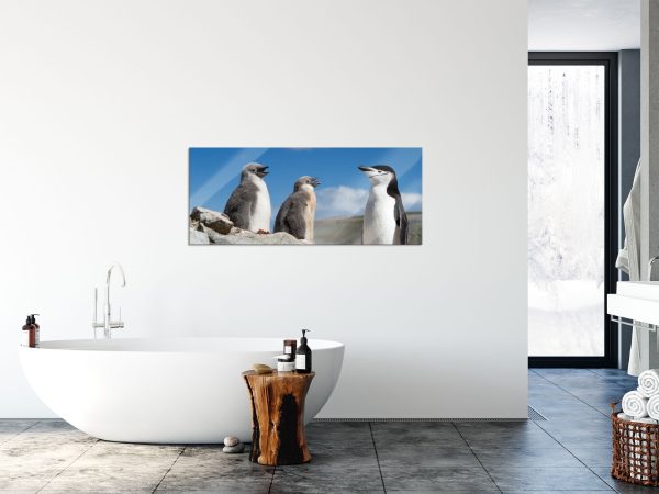 Pinguin mit süßen Küken, Glasbild Panorama Online – Bild 4