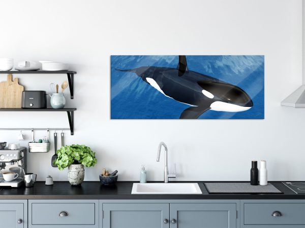Orca im blauen Meer, Glasbild Panorama Im Angebot – Bild 3