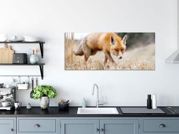 Schöner Fuchs, Glasbild Panorama Rabatt – Bild 3
