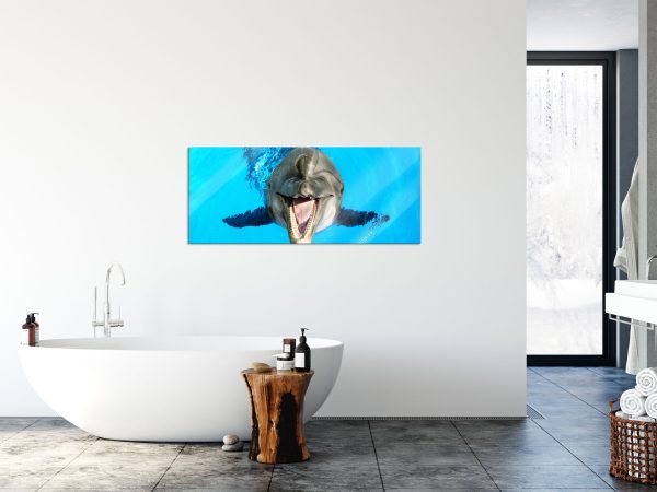 Delfin lacht, Glasbild Panorama Jetzt online – Bild 4
