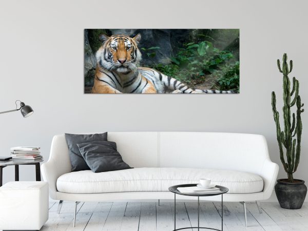 Liegender Tiger, Glasbild Panorama Im Angebot – Bild 2