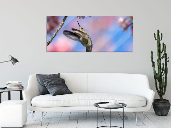 Kolibri an Kirschblüte, Glasbild Panorama Angebot – Bild 2