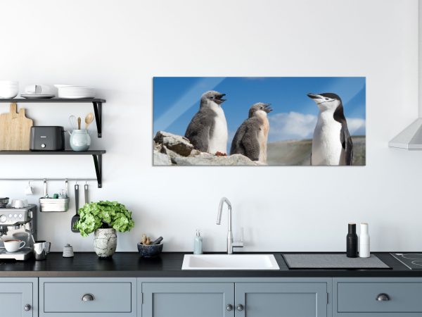 Pinguin mit süßen Küken, Glasbild Panorama Online – Bild 3