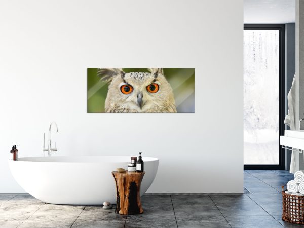 Eulen Kautz Orange Augen, Glasbild Panorama Online-Verkauf – Bild 4