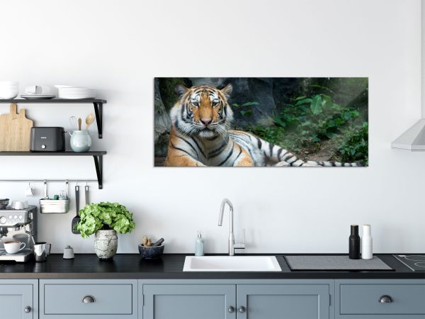 Liegender Tiger, Glasbild Panorama Im Angebot – Bild 3