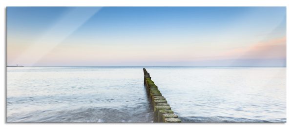Baumstümpfe die ins Meer führen, Glasbild Panorama Mode