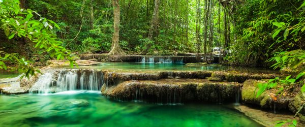 Tropischer Fluss, Glasbild Panorama Rabatt – Bild 5