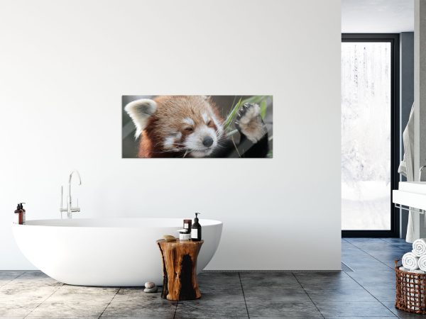 Kleiner Panda sagt Hallo, Glasbild Panorama Online-Schn?ppchen – Bild 4