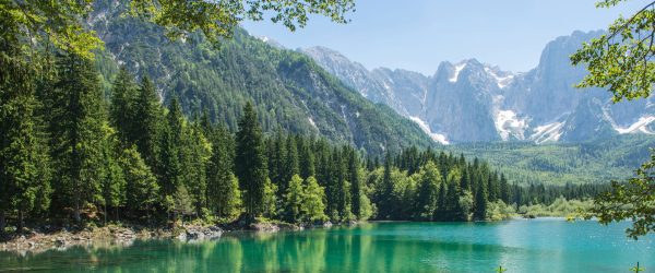 Wunderschöner See im Wald, Glasbild Panorama Verkauf – Bild 5