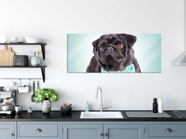 Lustiger Mops mit Fliege, Glasbild Panorama Angebot – Bild 3