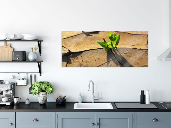 Keimling in ausgetrocknetem Boden, Glasbild Panorama Schn?ppchen – Bild 3