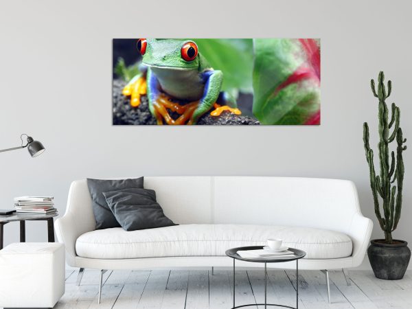 Rotaugenlaubfrosch auf Ast, Glasbild Panorama Online-Verkauf – Bild 2