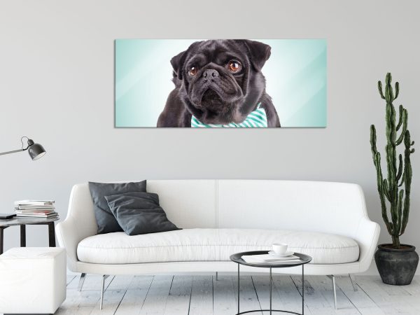 Lustiger Mops mit Fliege, Glasbild Panorama Angebot – Bild 2