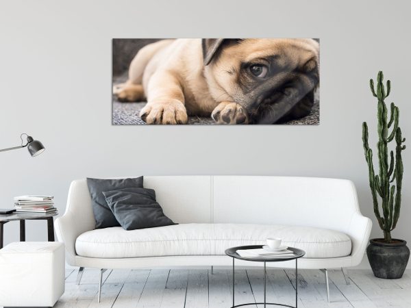 Süßer Mops auf Teppich, Glasbild Panorama Verkauf – Bild 2